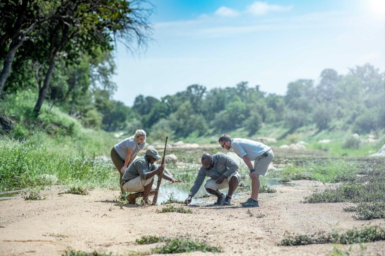 הוילה שמורת טבע קלאזירי Simbavati Camp George מראה חיצוני תמונה